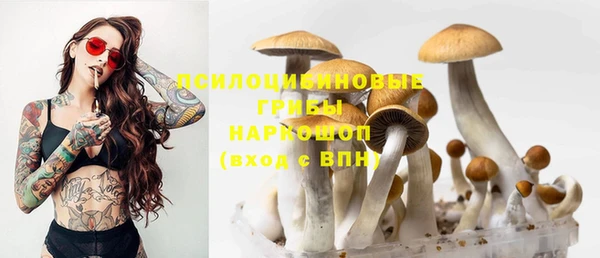 гашик Михайлов