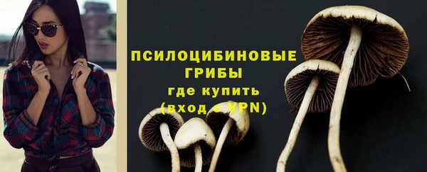 гашик Михайлов