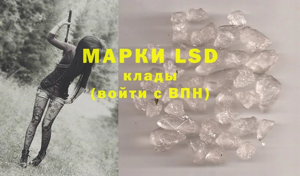 гашик Михайлов