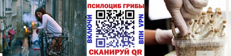 закладки  Новая Усмань  Галлюциногенные грибы ЛСД 